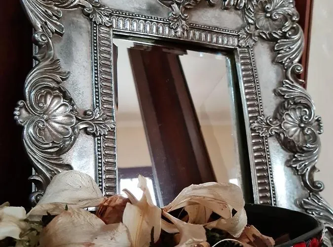 酒店 普拉特罗斯酒店 *