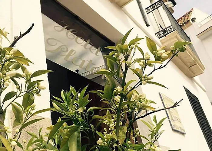 普拉特罗斯酒店 酒店 *