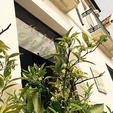 Plateros Szálloda *