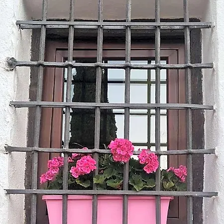 Hotel Plateros *
