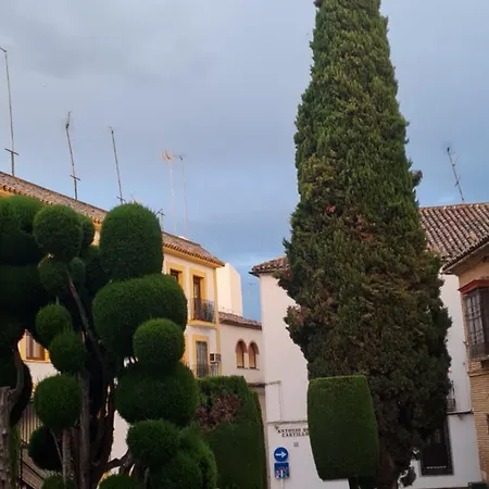 Plateros Córdoba
