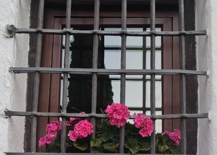 Отель Plateros *