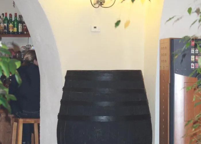 Готель Plateros *