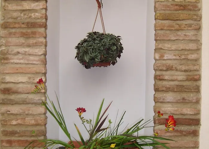 Plateros קורדובה