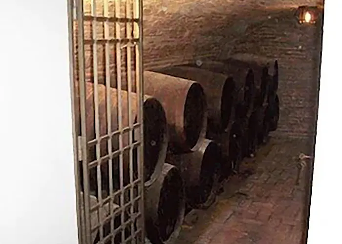 Отель Plateros *