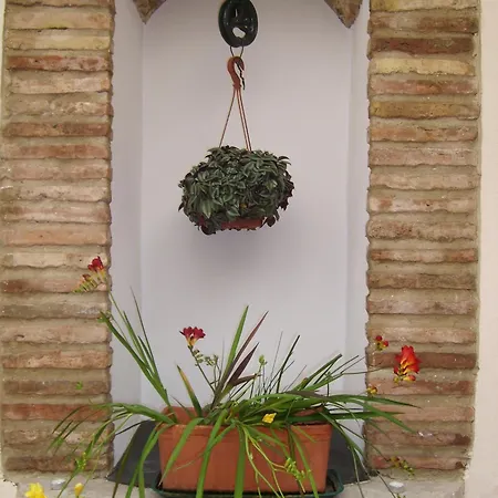 Plateros Córdoba