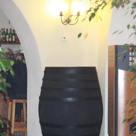 Готель Plateros *
